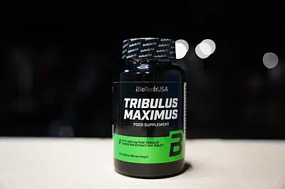 تریبولوس ماکسیموس بایوتک 90 تایی