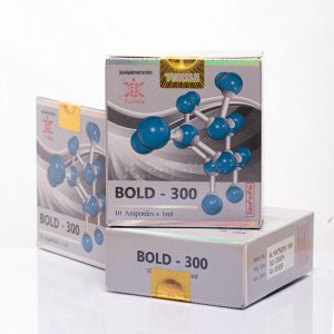 بلدنون تورتل