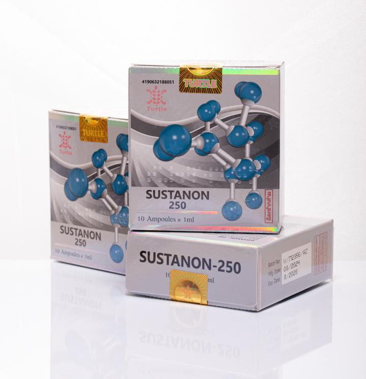 turtle lab سوستانون تورتل