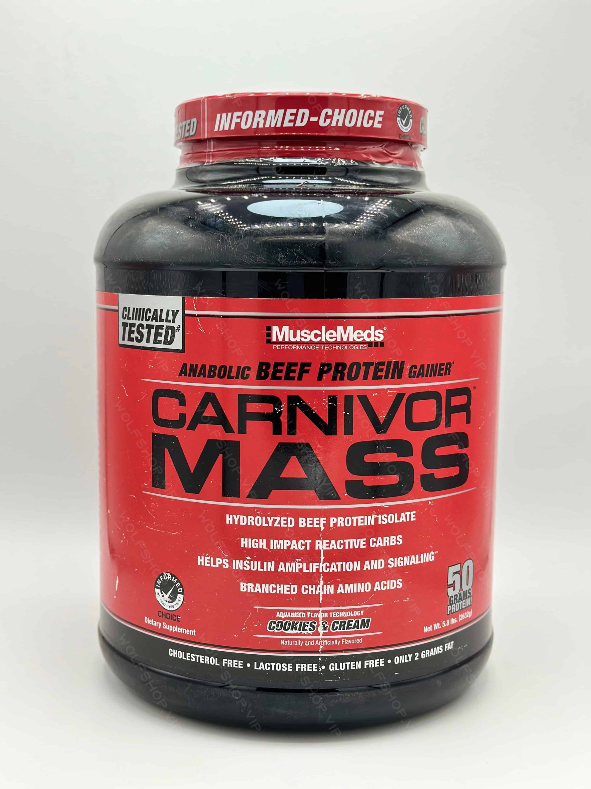 مس گینر کارنیور ماسل مدز